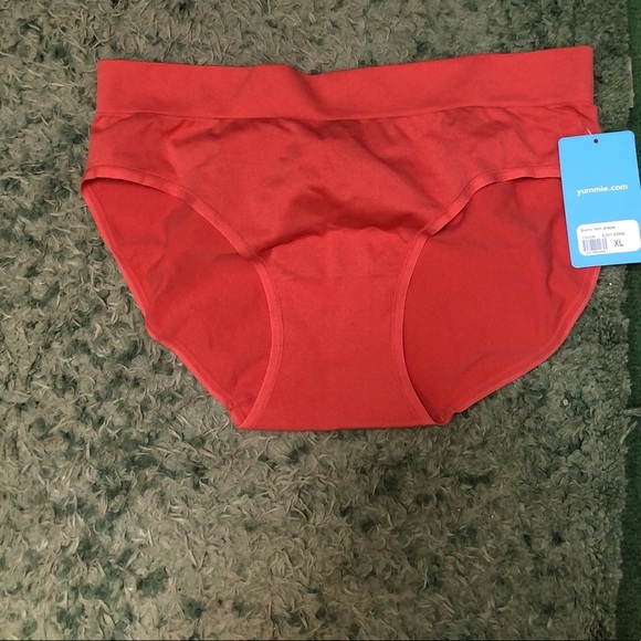 NWT YUMMIE BURNT SIENNA 
 BIKINI UNDERWEAR - Picture 3 of 4